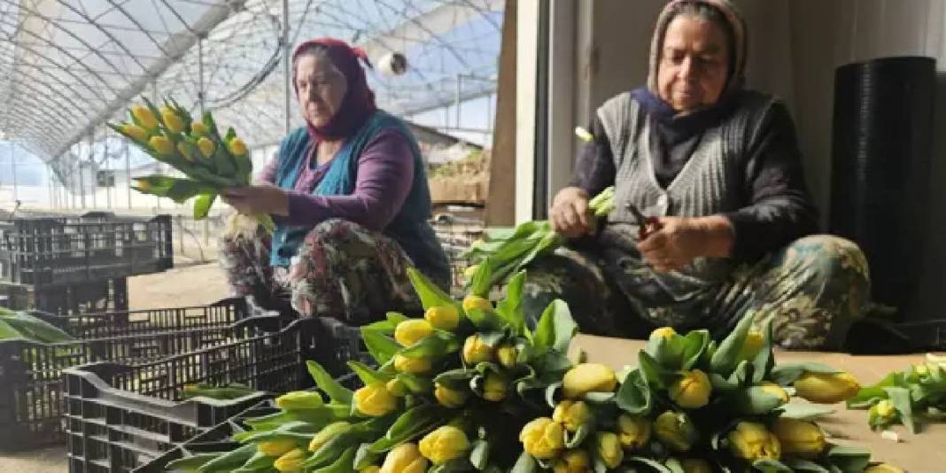 Türkiye’de tek! 2 özel gün için suda üretiliyor: Yıllık üretim 500.000’i buluyor 1